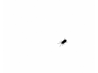 Found a bug?